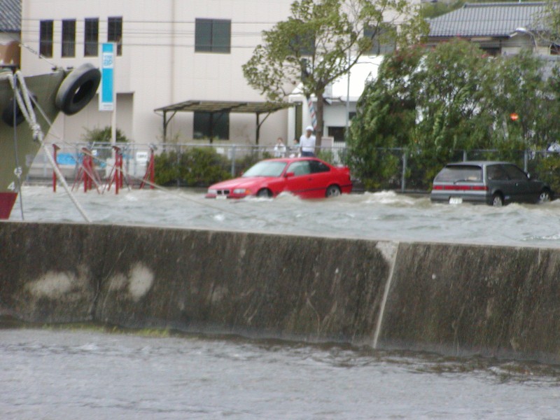 car_in_teh_sea